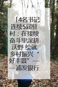 4名书记连续5届驻村：在接续奋斗里深耕沃野 绘就乡村振兴“好丰景”——浦发银行南京分行助力脱贫攻坚、帮促乡村振兴记事（二）