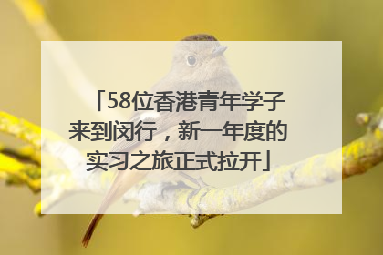 58位香港青年学子来到闵行，新一年度的实习之旅正式拉开