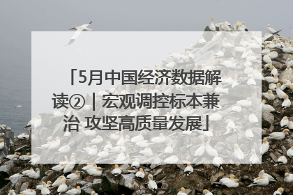 5月中国经济数据解读②｜宏观调控标本兼治 攻坚高质量发展