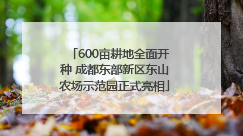 600亩耕地全面开种 成都东部新区东山农场示范园正式亮相