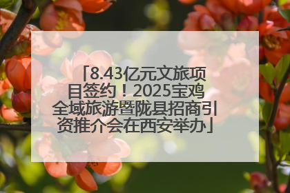 8.43亿元文旅项目签约！2025宝鸡全域旅游暨陇县招商引资推介会在西安举办