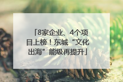 8家企业、4个项目上榜！东城“文化出海”能级再提升