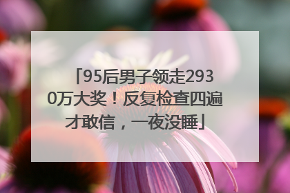 95后男子领走2930万大奖！反复检查四遍才敢信，一夜没睡