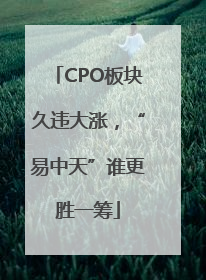 CPO板块久违大涨，“易中天”谁更胜一筹
