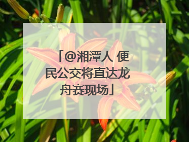 @湘潭人 便民公交将直达龙舟赛现场