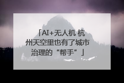 AI+无人机 杭州天空里也有了城市治理的“帮手”