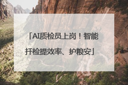 AI质检员上岗！智能扦检提效率、护粮安