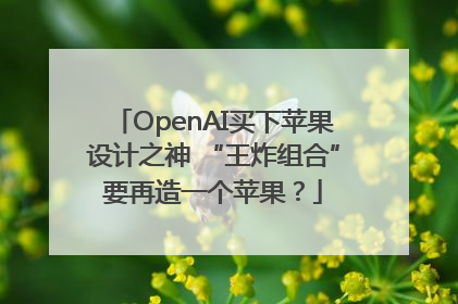 OpenAI买下苹果设计之神 “王炸组合”要再造一个苹果？