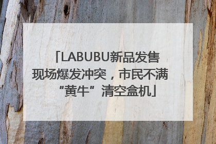 LABUBU新品发售现场爆发冲突，市民不满“黄牛”清空盒机