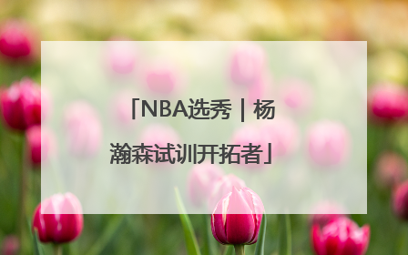 NBA选秀｜杨瀚森试训开拓者